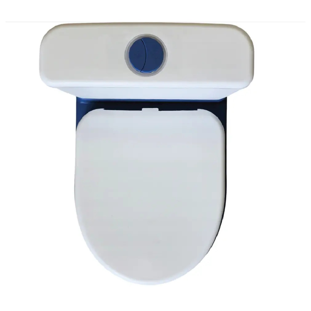 SmartFlush Musical Baby Potty Toilet