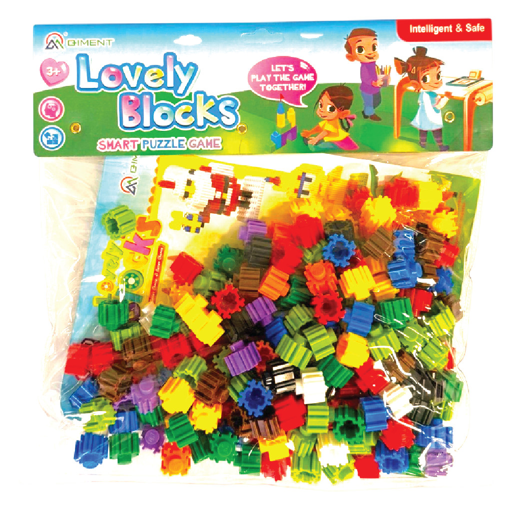 Lovely Smart Blocks Puzzle Set
